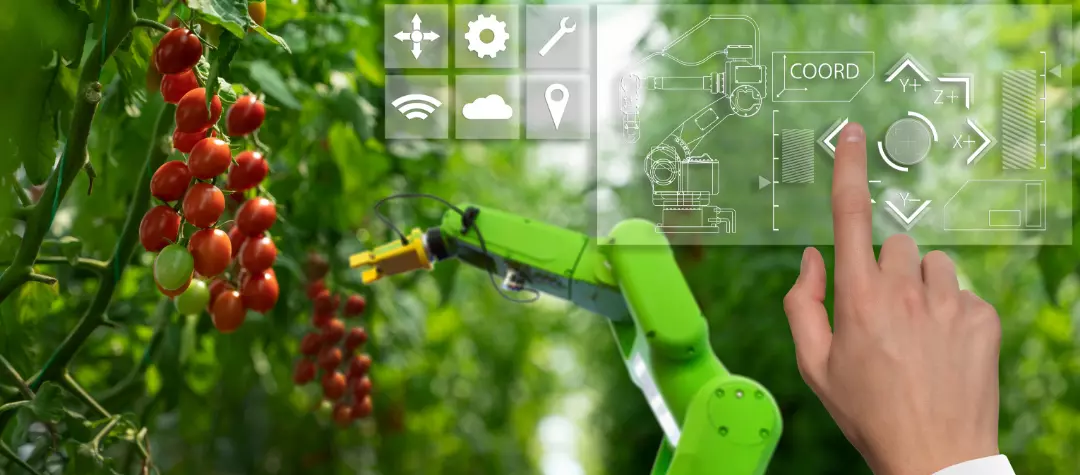The Benefits of Virtual Reality (VR) for Agriculture