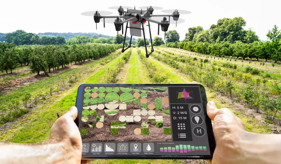Drone-Assisted Field Scouting with AR