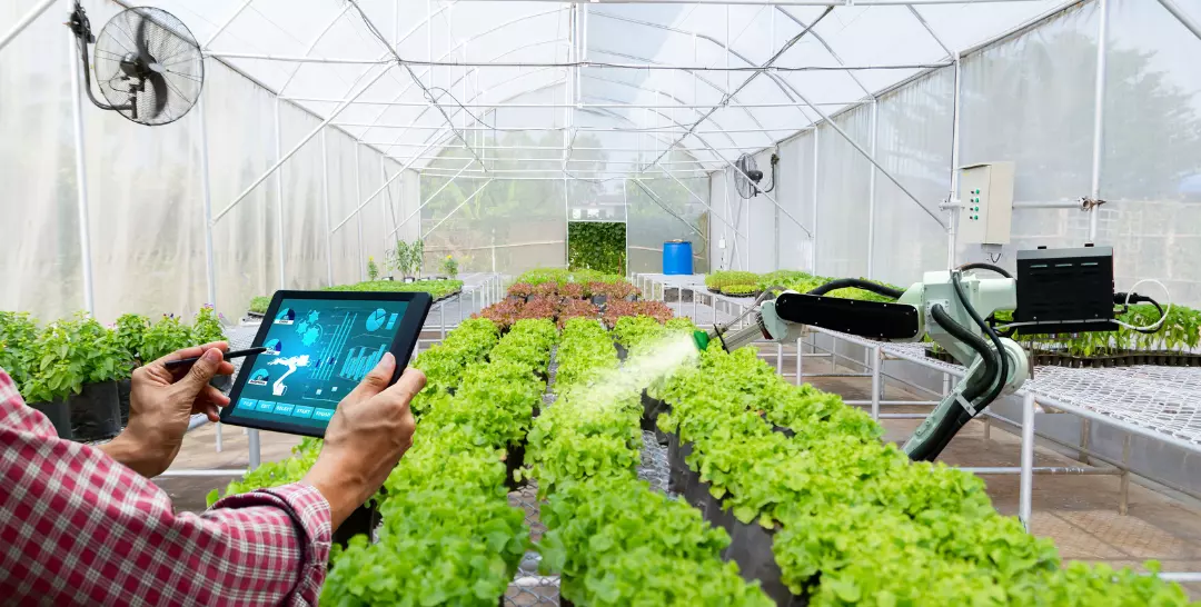 AR-Enabled Greenhouses